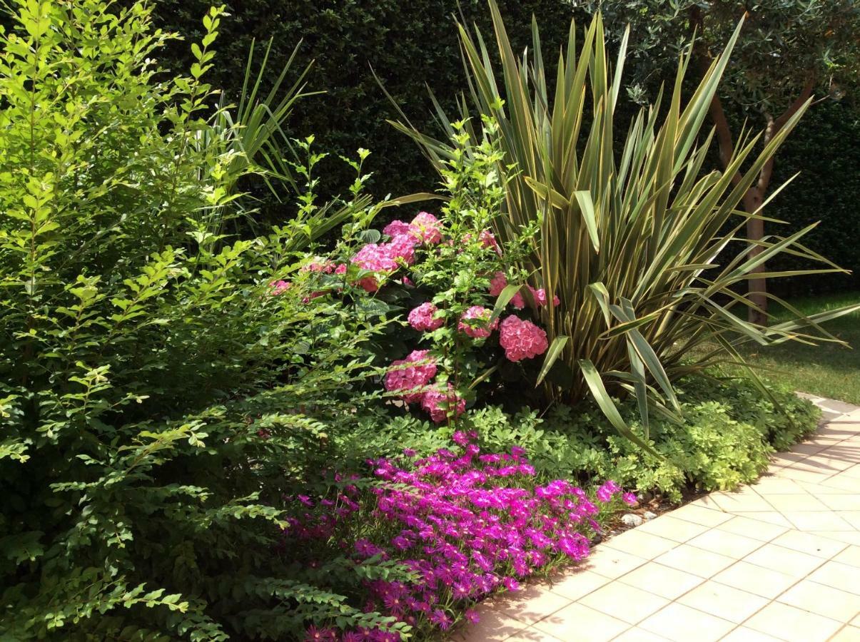 B&B Desenzano Paradise Desenzano del Garda Exteriér fotografie